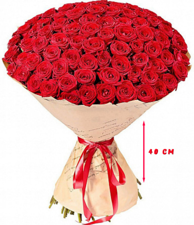 101 красных роз 40 см