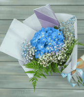 Рождественский краш Рождественский краш