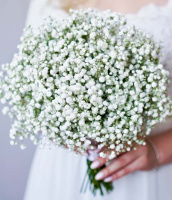 Облако (свадебный) Облако (свадебный)