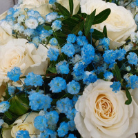 Букет_Кустовые розы с голубой гипсофилой в ящике Букет_Кустовые розы с голубой гипсофилой в ящике