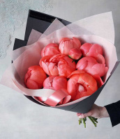 9 алых пионов 9 алых пионов