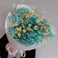 Букет_Голубая гипсофила и кустовая ромашка Букет_Голубая гипсофила и кустовая ромашка