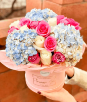 Амальфи Амальфи