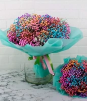 Раскраска Раскраска