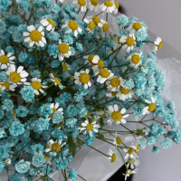 Букет_Голубая гипсофила и кустовая ромашка Букет_Голубая гипсофила и кустовая ромашка