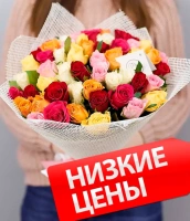 Незнакомка Незнакомка