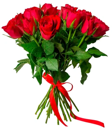 25 красных кенийских роз