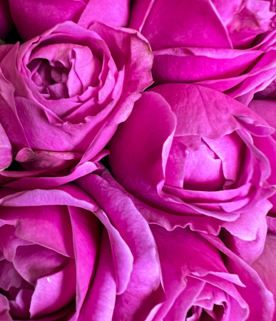 Букет_Малиновый рай Букет_Малиновый рай