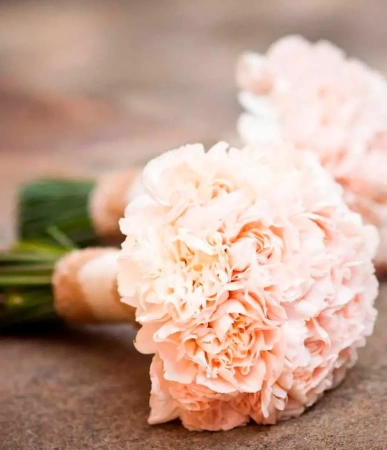 Свадебный букет невесты из персиковых диантусов