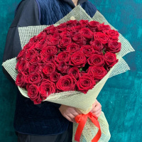 51 красных роз (60см) 51 красных роз (60см)
