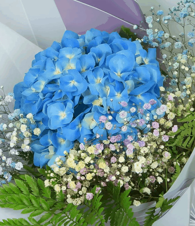 Рождественский краш