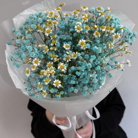 Голубая гипсофила и кустовая ромашка Голубая гипсофила и кустовая ромашка