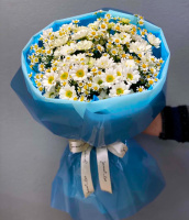 Камилла Камилла