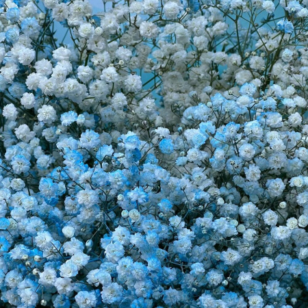 Букет_51 голубой гипсофилы