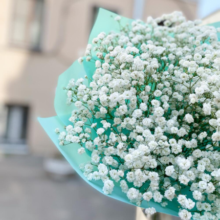 Букет_Монобукет из белой гипсофилы
