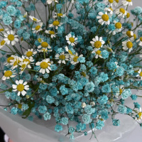 Букет_Голубая гипсофила и кустовая ромашка Букет_Голубая гипсофила и кустовая ромашка