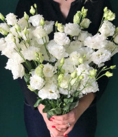 Белый аист Белый аист